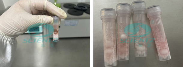 undefined 實(shí)驗(yàn)前后對比圖