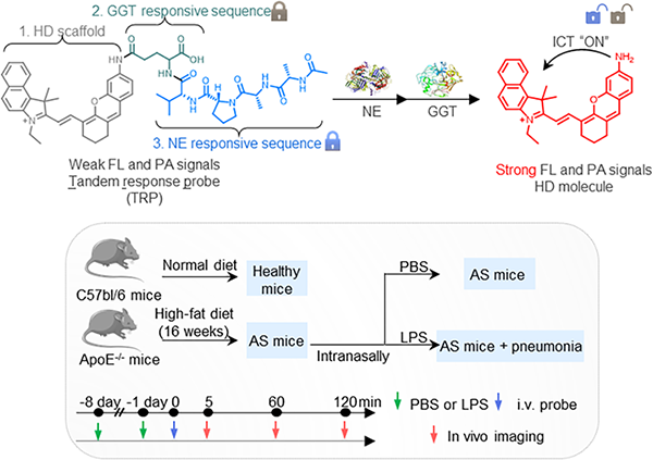 微信圖片_2026-01-22_133705_317